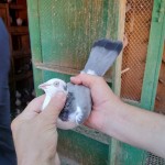 WhatsApp Image 2020-09-06 at 20.31.26