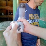 WhatsApp Image 2020-09-06 at 20.31.26 (2)