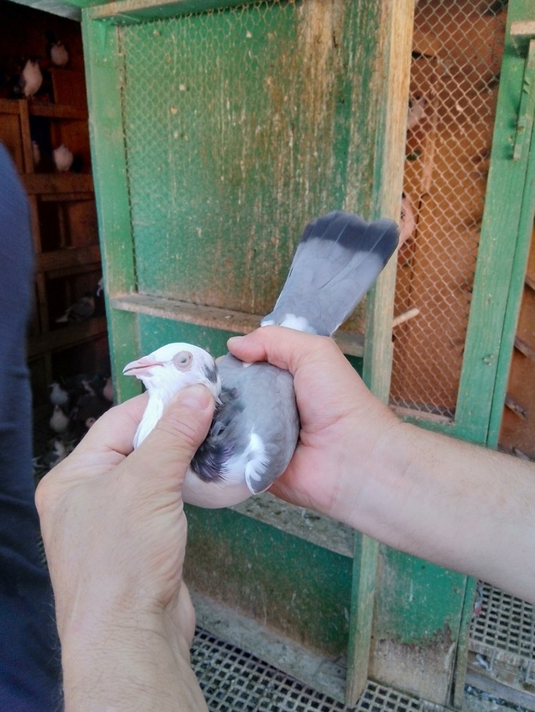 WhatsApp Image 2020-09-06 at 20.31.26