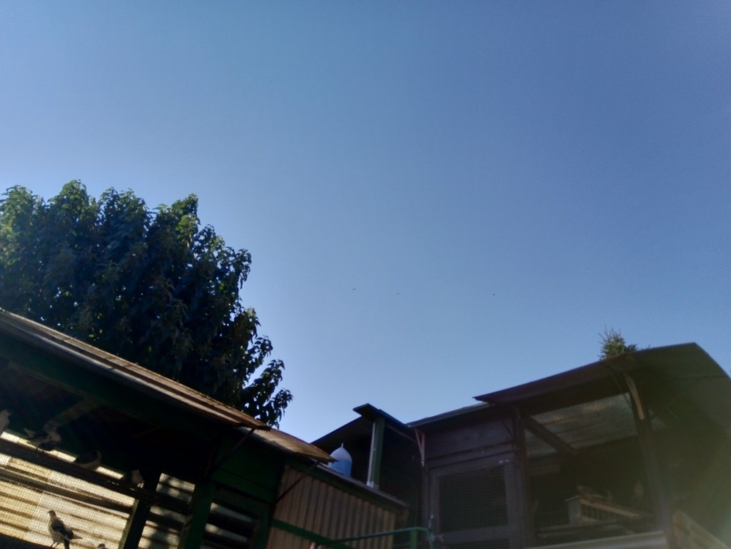 WhatsApp Image 2020-09-06 at 20.31.27 (1)