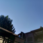 WhatsApp Image 2020-09-06 at 20.31.27 (1)