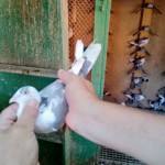 WhatsApp Image 2020-09-06 at 20.31.27