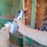 WhatsApp Image 2020-09-06 at 20.31.27 (2)