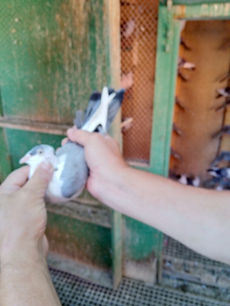 WhatsApp Image 2020-09-06 at 20.31.27 (2)