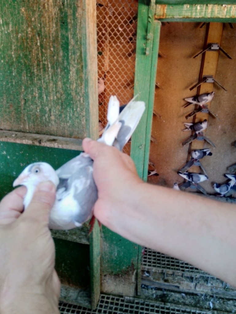 WhatsApp Image 2020-09-06 at 20.31.27