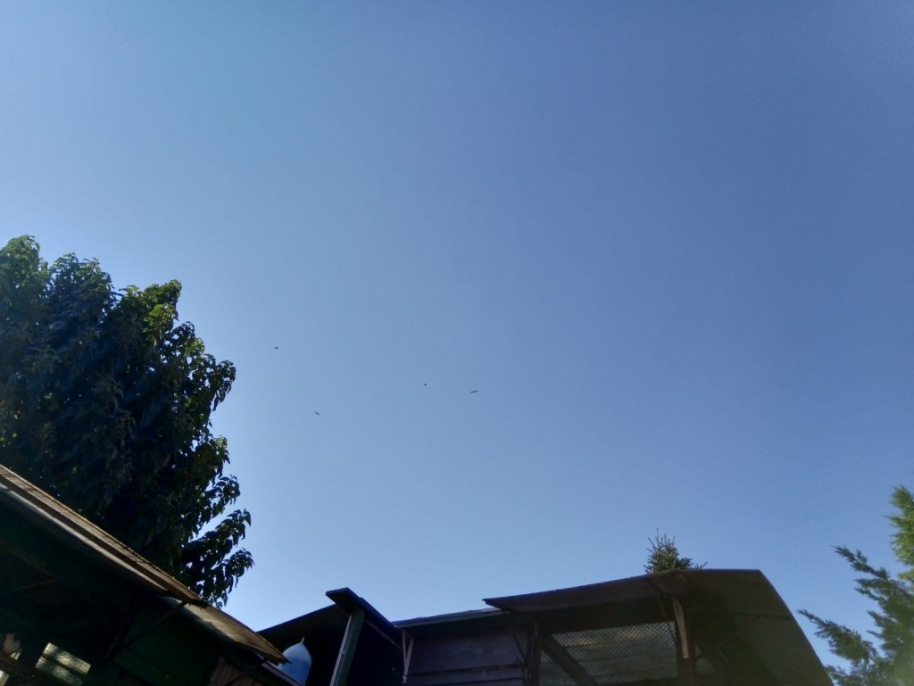 WhatsApp Image 2020-09-06 at 20.31.28 (1)