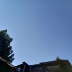 WhatsApp Image 2020-09-06 at 20.31.28 (1)