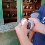 WhatsApp Image 2020-09-06 at 20.31.28