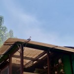 WhatsApp Image 2020-09-06 at 20.31.30 (2)