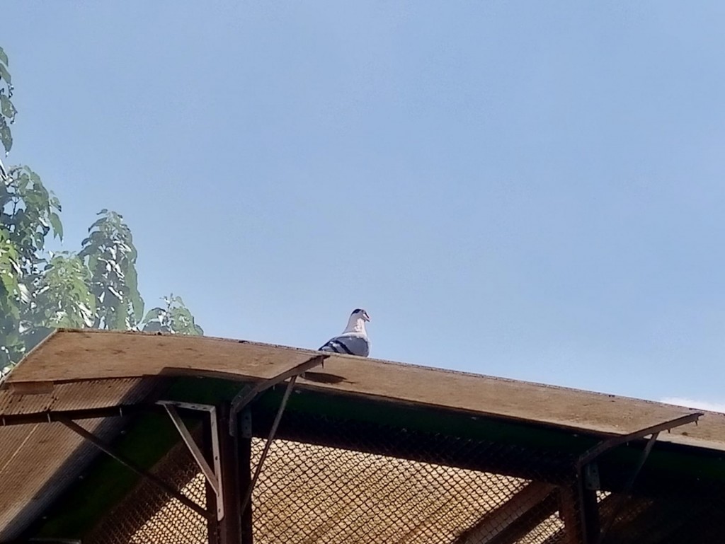 WhatsApp Image 2020-09-06 at 20.31.31