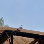 WhatsApp Image 2020-09-06 at 20.31.31