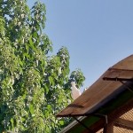 WhatsApp Image 2020-09-06 at 20.31.31 (2)