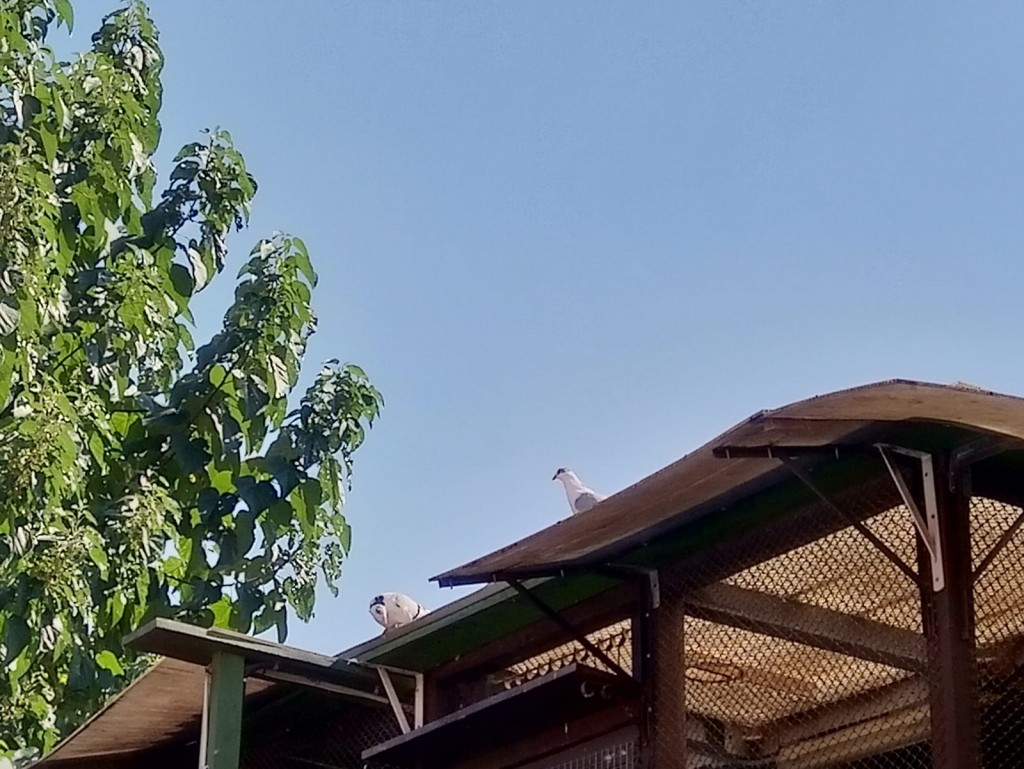 WhatsApp Image 2020-09-06 at 20.31.32 (1)