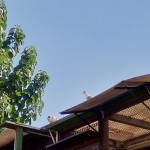 WhatsApp Image 2020-09-06 at 20.31.32 (1)