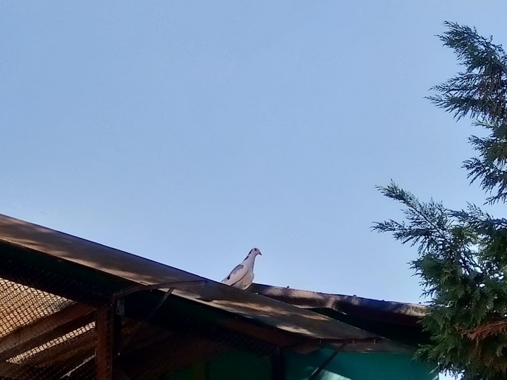 WhatsApp Image 2020-09-06 at 20.31.32