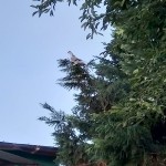 WhatsApp Image 2020-09-06 at 20.31.32 (2)