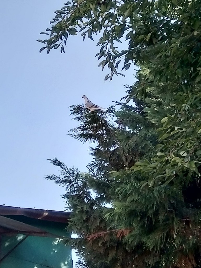 WhatsApp Image 2020-09-06 at 20.31.32 (2)