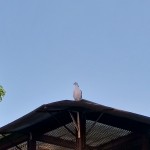 WhatsApp Image 2020-09-06 at 20.31.33