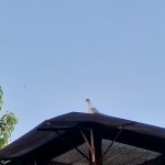 WhatsApp Image 2020-09-06 at 20.32.15